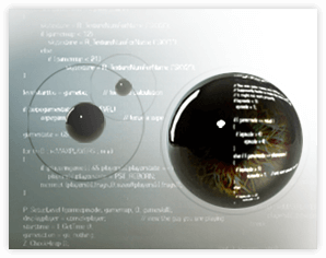 Services - Software development